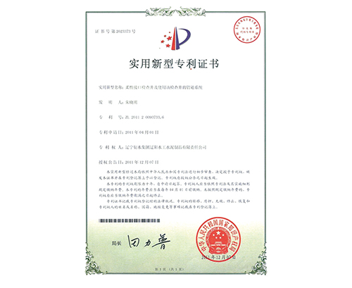 营口2011-柔性接口检查井及管道系统zhuanli